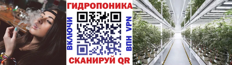 Как найти закладки Коряжма Конопля Alpha PVP ГАШИШ COCAIN