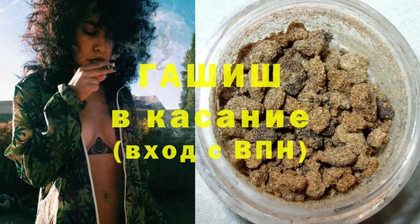 сатива Аркадак