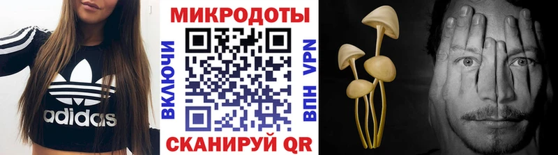 где найти   Коряжма  Галлюциногенные грибы прущие грибы 