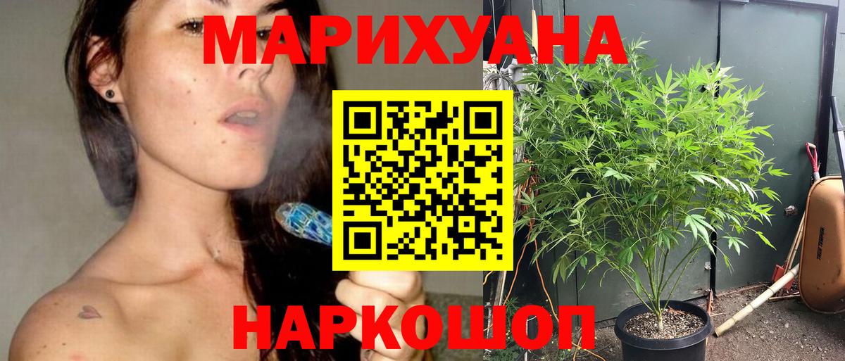 Шишки марихуана семена  Вход с VPN  МАРИХУАНА OG Kush  Каннабис планчик  Коряжма 
